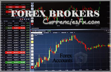 Forex Brokers